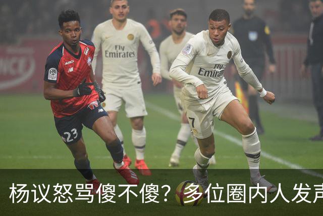 杨议怒骂傻不傻？多位圈内人发声，知情人爆料，对比结果惨不忍睹