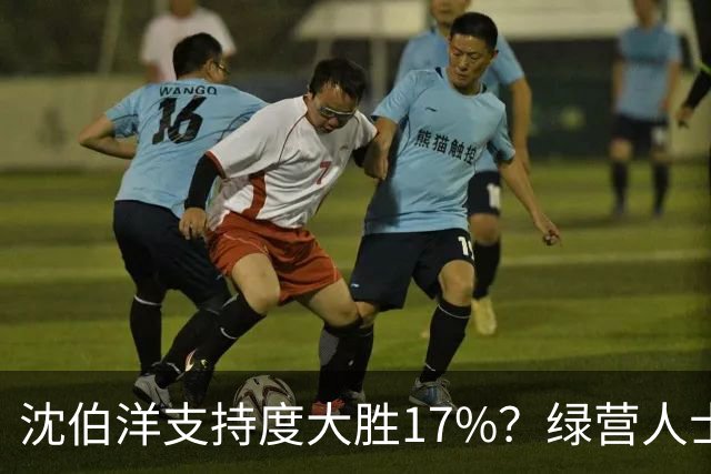 沈伯洋支持度大胜17%？绿营人士：蒋万安支持者可能未充分表态