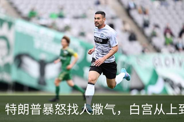 特朗普暴怒找人撒气，白宫从上到下都在挨骂，他知道自己必败无疑