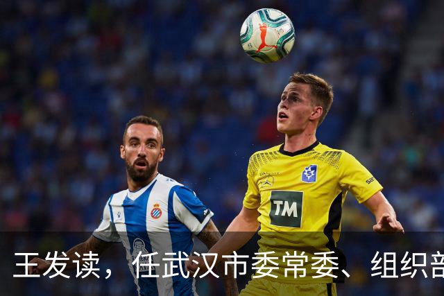 王发读，任武汉市委常委、组织部部长！王矗，任厦门市监委副主任、代主任！