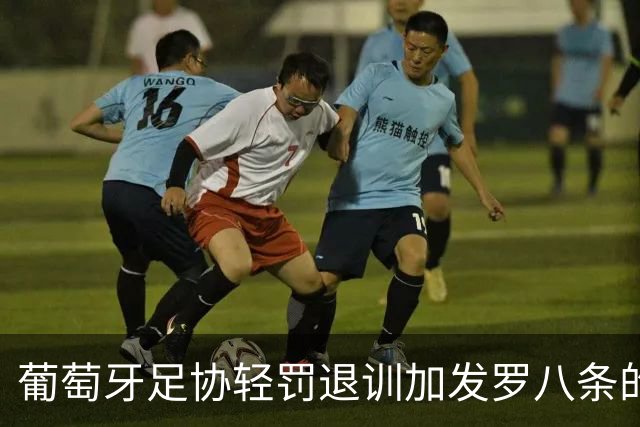 葡萄牙足协轻罚退训加发罗八条的C罗后、遭各媒体差评！