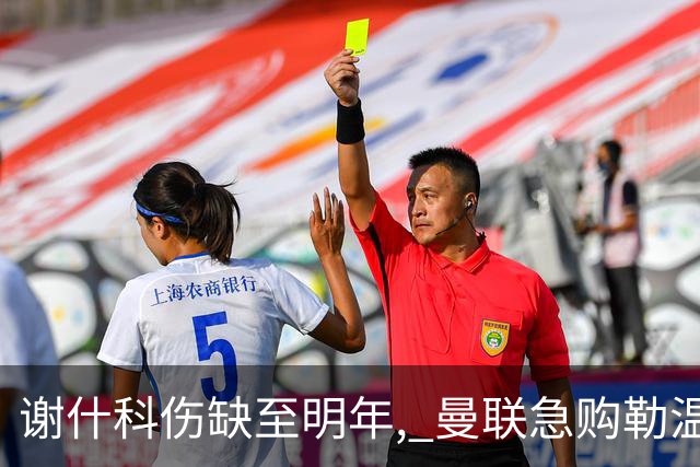 谢什科伤缺至明年, 曼联急购勒温补锋线