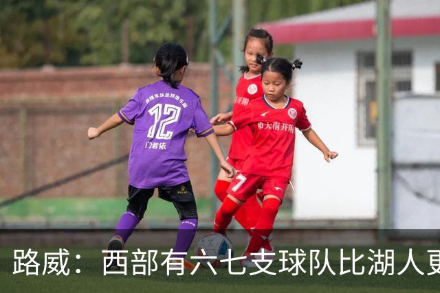 路威：西部有六七支球队比湖人更强 仅靠东契奇和里夫斯天赋不够