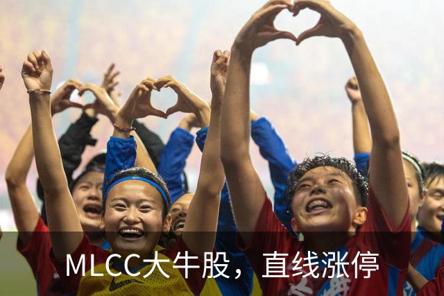 MLCC大牛股，直线涨停